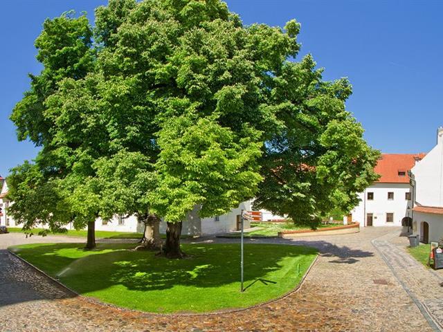 Monastery Готель 4*
